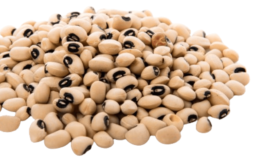 Frescura en alimentos Grupo Venport