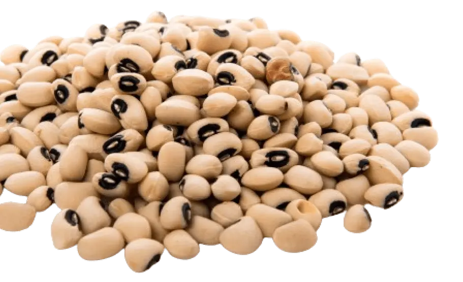 Productos Grupo Venport