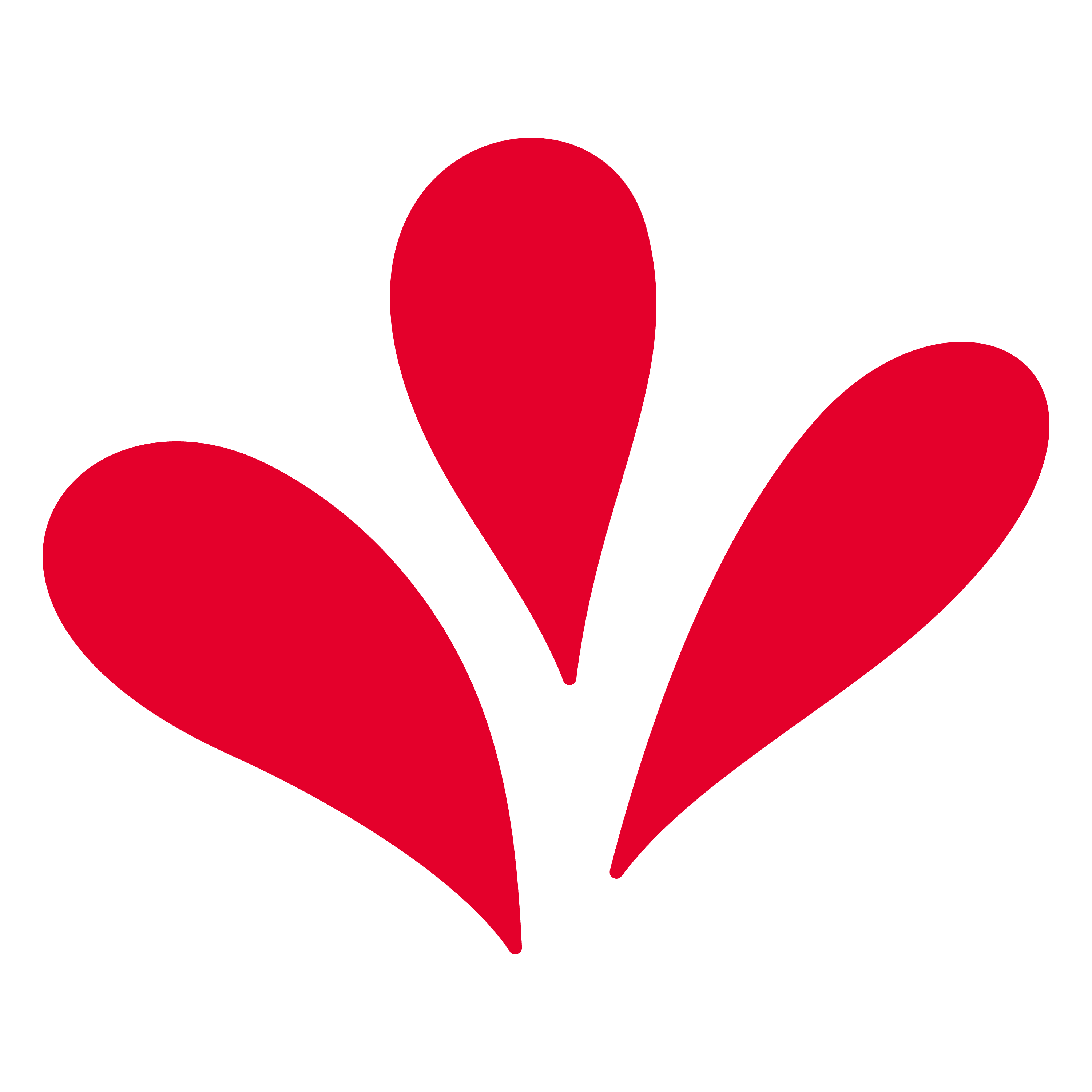 Nuestros Productos - Grupo Venport