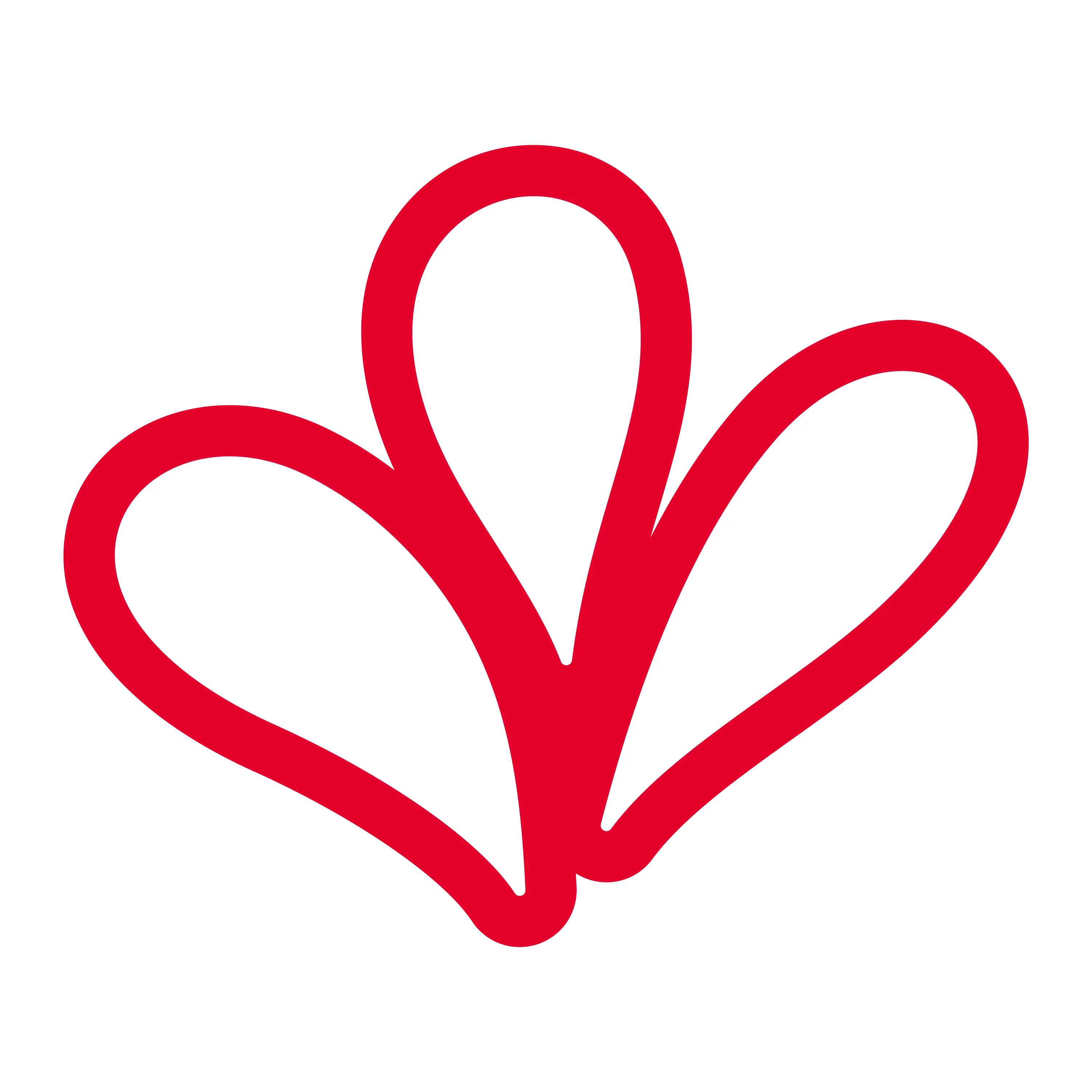 Grupo Venport